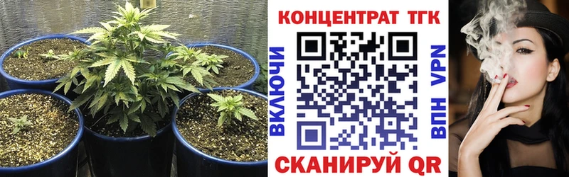 ТГК Wax  Алейск 